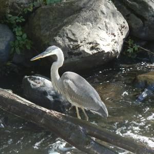 Meet your Posher, Patti